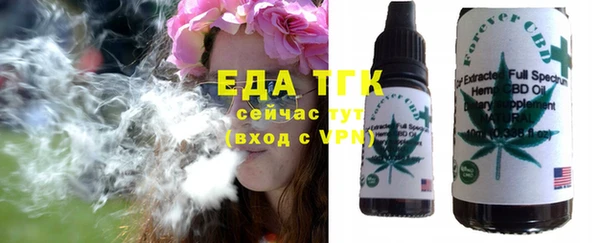 сатива Кулебаки