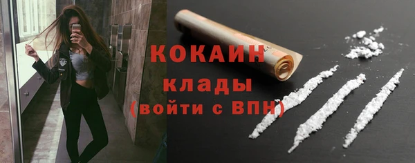сатива Кулебаки