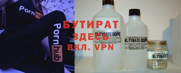 сатива Кулебаки
