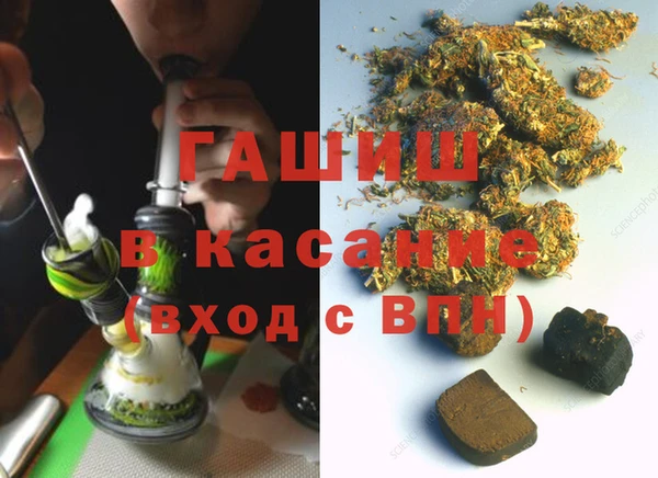сатива Кулебаки