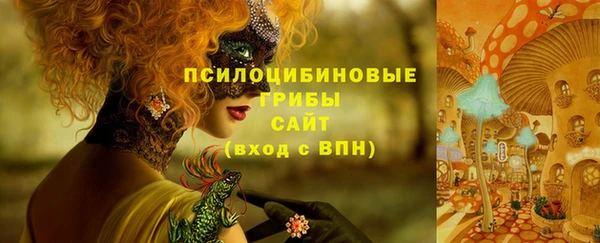 сатива Кулебаки