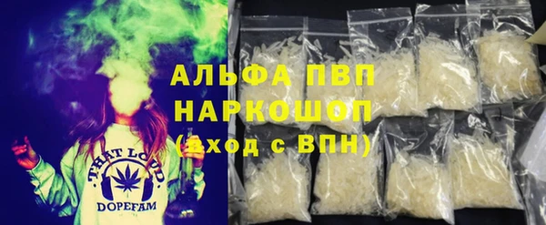 сатива Кулебаки