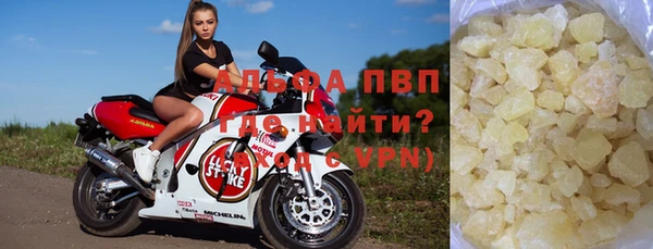 сатива Кулебаки