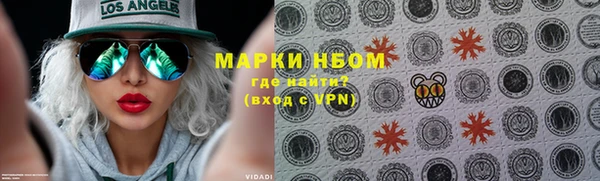 сатива Кулебаки