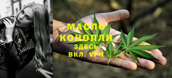 сатива Кулебаки