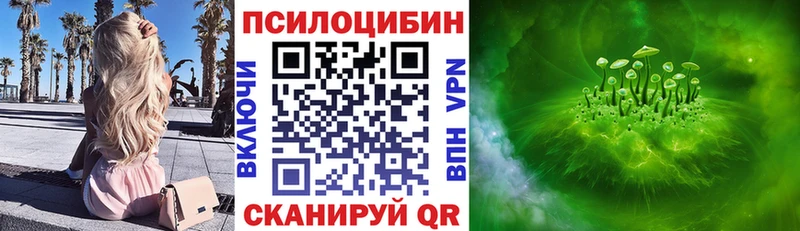 где купить наркоту  Звенигород  blacksprut   Галлюциногенные грибы Psilocybe 