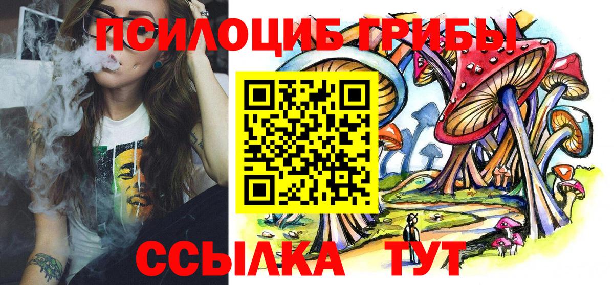 Звенигород  Псилоцибиновые грибы Psilocybine cubensis  Вход с VPN 