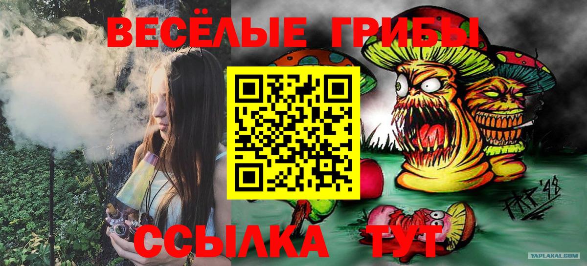 купить  цена  Звенигород  Галлюциногенные грибы Cubensis 